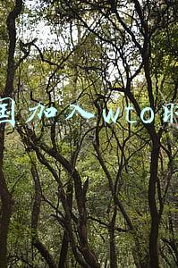 中国加入wto时间