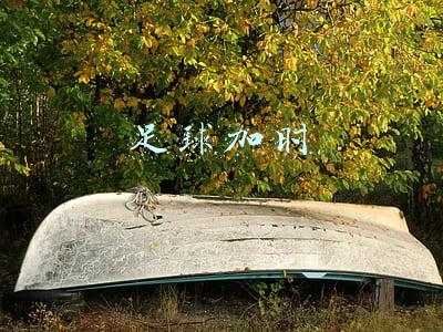 足球加时赛进球就结束吗(镜报：欧足联考虑取消欧战加时赛客场进球规则)