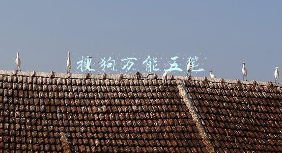搜狗万能五笔