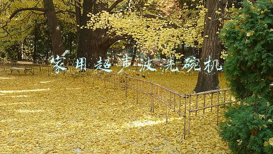 家用超声波洗碗机