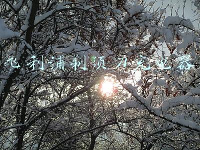 飞利浦剃须刀充电器通用吗(“扎男”变“净男”飞利浦S2303电动剃须刀体验与分享)