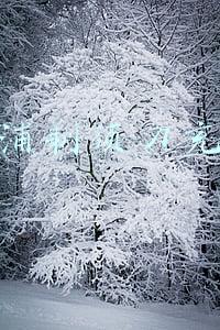 飞利浦剃须刀充电器