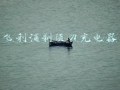 飞利浦剃须刀充电器