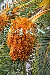 隐性收入和灰色收入(「原创」灰色收入被夸大了吗？——答罗楚亮、岳希明、李实的质疑)