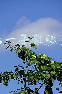 童装店一年能挣多少钱(一个童装店一年能赚多少钱)