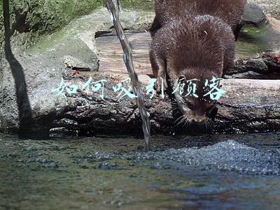 如何吸引顾客