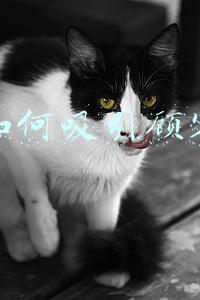 如何吸引顾客