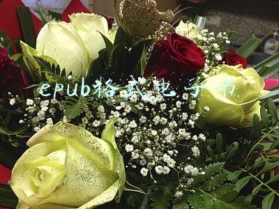 epub格式电子书免费下载(kindle不用吃灰了！这个全球最大的数字图书馆，海量书籍免费下)
