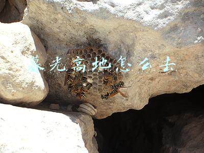 暮光高地怎么去奥格瑞玛(《魔兽世界》8.1.5各主城传送门改动汇总)