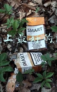 世界上最好的跑车品牌(超跑三巨头！全球公认三大神车)