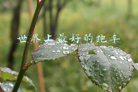 世界最好的跑车排名第一(全球十大最快量产车！布加迪才第二，兰博基尼落榜)