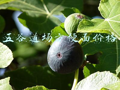 五谷道场方便面零售价(五谷道场，当年的方便面巨头，销量超过康师傅，如今风光不再)