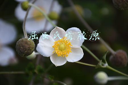 屈臣氏骨胶原系列怎么样(胶原美妆自信绽放 屈臣氏骨胶原彩妆系列强势上市)