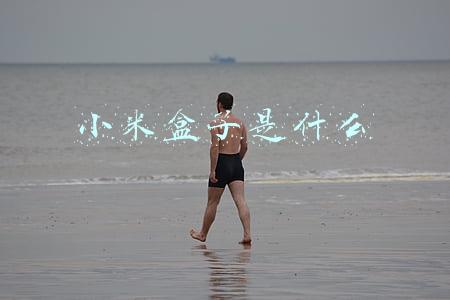 小米盒子(必买：追剧/观影/补番 小米电视盒子满足需要)