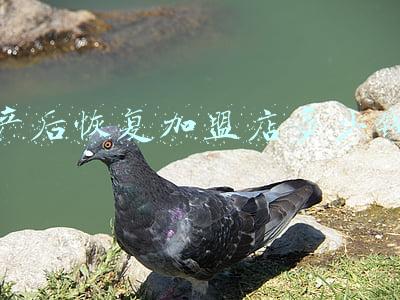 时尚妈咪产后恢复加盟(时尚妈咪产后恢复加盟怎么样)
