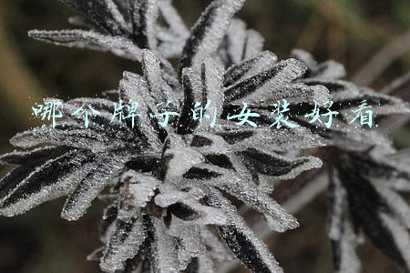 品牌女装有哪些牌子(又一服装品牌申请破产！曾是一代女性心中“时髦”的象征)
