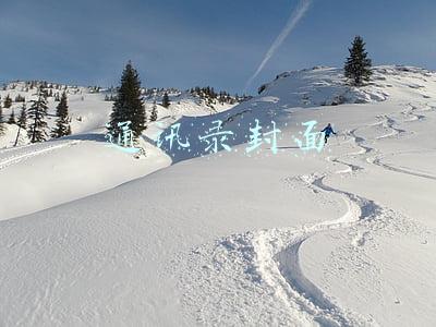 通讯录封面