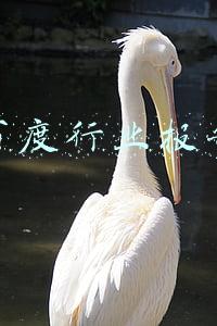 百度行业数据查询(收录链接查询之百度收录查询)