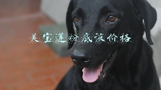 美宝莲粉底液价格表(美宝莲粉底液的专业评测结果)