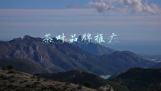 茶叶品牌推广