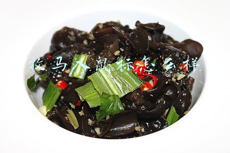 牧马人鼠标怎么样