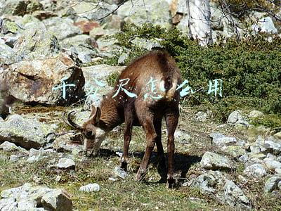 千分尺怎么用怎么解读(如何解读千分尺的读数方法)