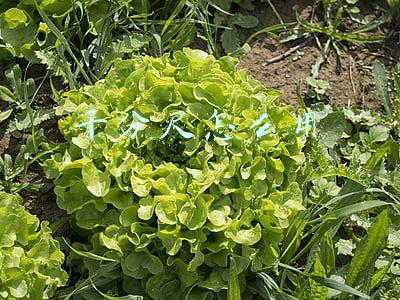 外径千分尺怎么用(千分尺的正确测量使用方法，很多人都用千分尺，但都用错了)