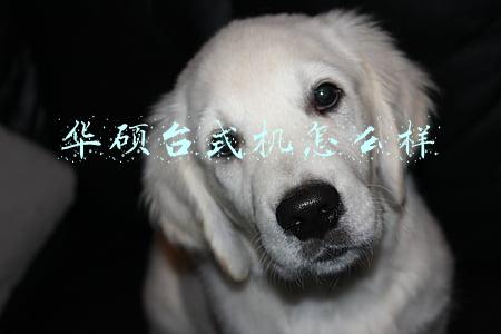 华硕台式机怎么样好不好(主板大厂的品质：ASUS 华硕 M32CD 台式机 开箱体验)