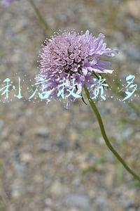 开个便利店大概需要投资多少钱；开一个便利店需要投资多少钱