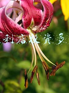 开一家便利店需要投资多少钱《开一家便利店大约要多少钱》