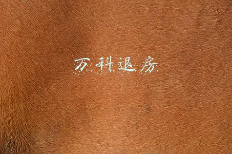 万科退房款多久才到账(母亲患癌急等钱用，女儿无奈退了房，太原万科需要45个工作日退钱)