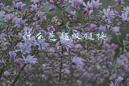 什么是超级链接可以作为超级链接索引的对象有哪(100+Google搜索引擎常用术语，建议收藏)