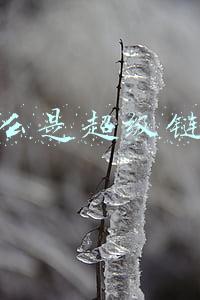 什么是超级链接在网页源程序中如何表示(网站SEO常用的专业术语)