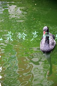 免费铃声网站
