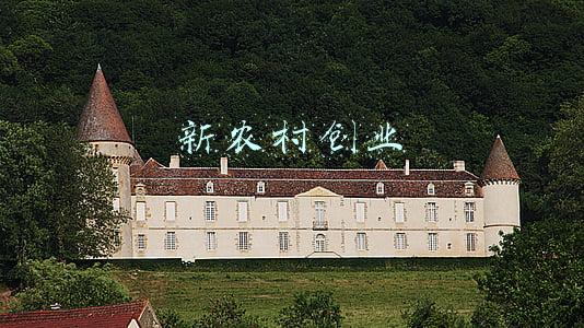 农村项目创业年赚百万(柳州“网红村”设计年入百万元项目吸引大批务工人员返乡)