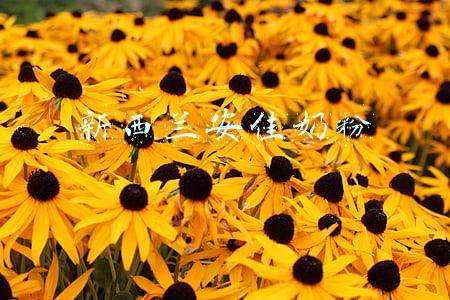 新西兰安佳奶粉安全吗(沉冤昭雪！天津官方证实新西兰奶粉“无辜”，和“新冠雪糕”无关)