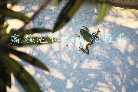 高端笔记本电脑推荐thinkpad x1(年度TOP级商务本！ThinkPad X1 Carbon 2021评测)