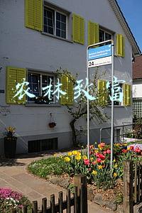 农林致富网养豪猪(建材店老板二次创业养豪猪，成就非凡只因用了这4个绝招……)