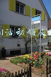 英雄联盟领皮肤活动(四款永久皮肤免费领！“LOL新版本活动公布，白嫖党的福音来了”)