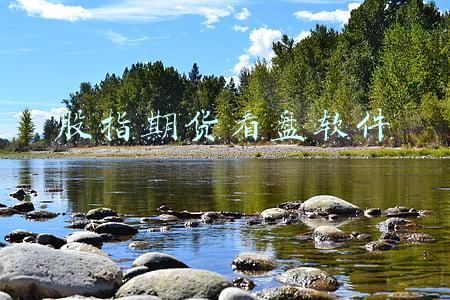 期货看盘软件哪个最好(周易大师能否解密期货盈利密码)