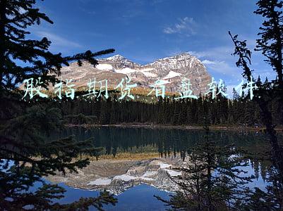 股票看盘软件(还担心看不懂“盘口”吗？精讲：内盘和外盘，8大法则是什么？)