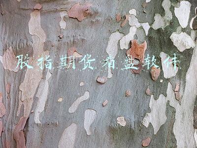 股指期货交易模拟盘软件(谎称华尔街大师带你操盘，12个人在“国际期货”APP平台被骗68万元)