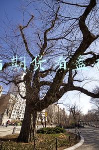 股指期货怎么看盘(沪深300股指期货篇｜品种手册交易必看)