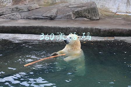 360游戏激活码(腾讯出了个新游戏，激活码竟要200多块钱，只能玩3天，值不值？)