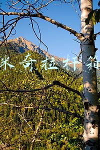 小米拉杆行李箱怎么样(PK国际大厂，小米爆款24寸行李箱上手体验，大空间实力派)