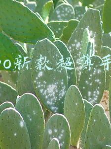 oppo新款超薄手机