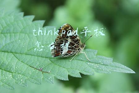 thinkpad平板怎么样