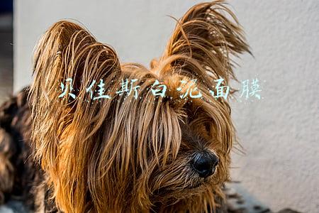 贝佳斯白泥面膜