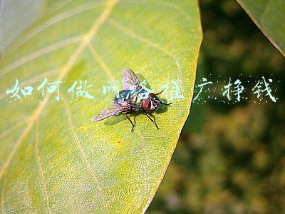 如何做网络推广挣钱