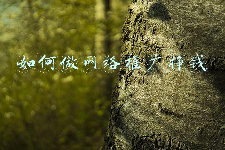 网络推广怎么做(如何做网络推广和营销?具体方法有哪些?互联网推广技巧分享)